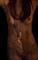 © 2025 All Rights Reserved.