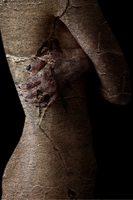 © 2025 All Rights Reserved.