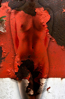 © 2025 All Rights Reserved.