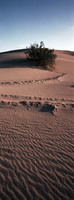 © 2025 All Rights Reserved.