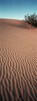 © 2025 All Rights Reserved.