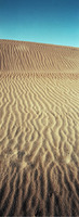 © 2025 All Rights Reserved.