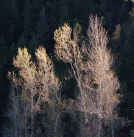 © 2025 All Rights Reserved.