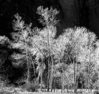 © 2025 All Rights Reserved.