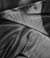 © 2025 All Rights Reserved.