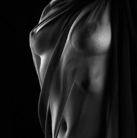 © 2025 All Rights Reserved.