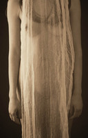 © 2025 All Rights Reserved.