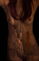 © 2025 All Rights Reserved.