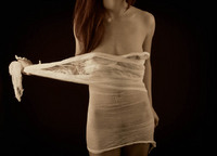 © 2025 All Rights Reserved.