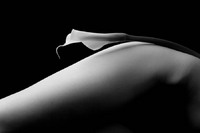 © 2025 All Rights Reserved.