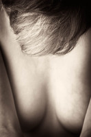 © 2025 All Rights Reserved.
