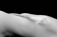 © 2025 All Rights Reserved.