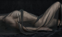 © 2025 All Rights Reserved.