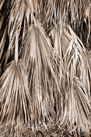 © 2025 All Rights Reserved.