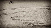 © 2025 All Rights Reserved.