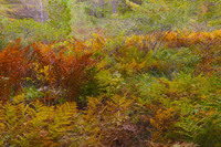 © 2025 All Rights Reserved.