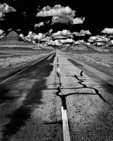 © 2025 All Rights Reserved.