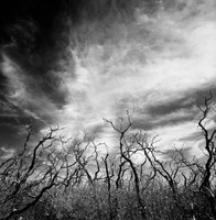 © 2025 All Rights Reserved.