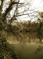 © 2025 All Rights Reserved.