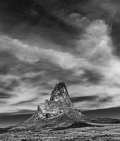 © 2025 All Rights Reserved.