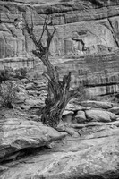 © 2025 All Rights Reserved.