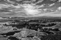 © 2025 All Rights Reserved.