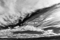 © 2025 All Rights Reserved.