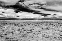 © 2025 All Rights Reserved.