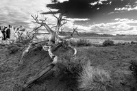 © 2025 All Rights Reserved.