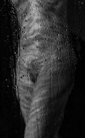 © 2025 All Rights Reserved.