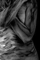 © 2025 All Rights Reserved.