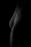 © 2025 All Rights Reserved.
