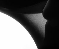 © 2025 All Rights Reserved.