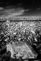 © 2025 All Rights Reserved.