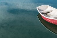 © 2025 All Rights Reserved.