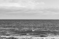 © 2025 All Rights Reserved.