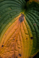 © 2025 All Rights Reserved.