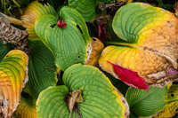 © 2025 All Rights Reserved.