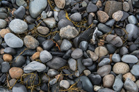 © 2025 All Rights Reserved.