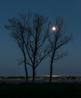 © 2025 All Rights Reserved.