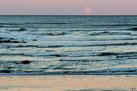 © 2025 All Rights Reserved.