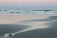 © 2025 All Rights Reserved.