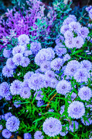 © 2025 All Rights Reserved.