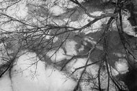 © 2025 All Rights Reserved.
