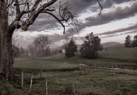 © 2025 All Rights Reserved.