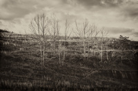 © 2025 All Rights Reserved.