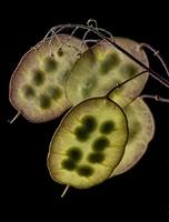 © 2025 All Rights Reserved.