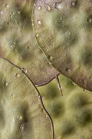 © 2025 All Rights Reserved.