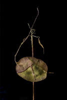 © 2025 All Rights Reserved.