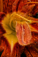 © 2025 All Rights Reserved.